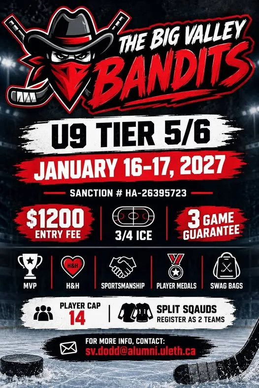 Poster for THE BIG VALLEY BANDITS