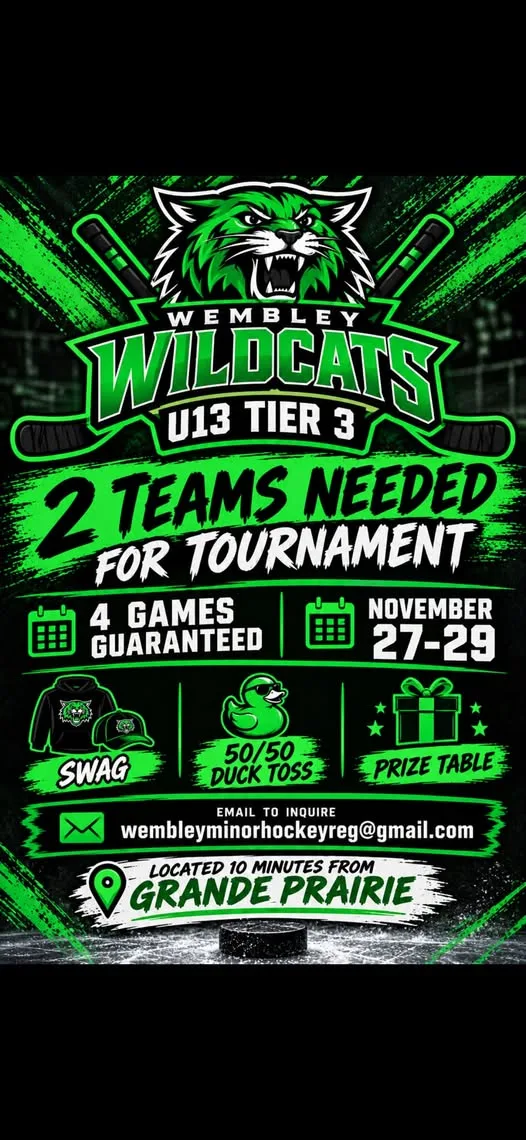 Poster for Wembley Wildcats